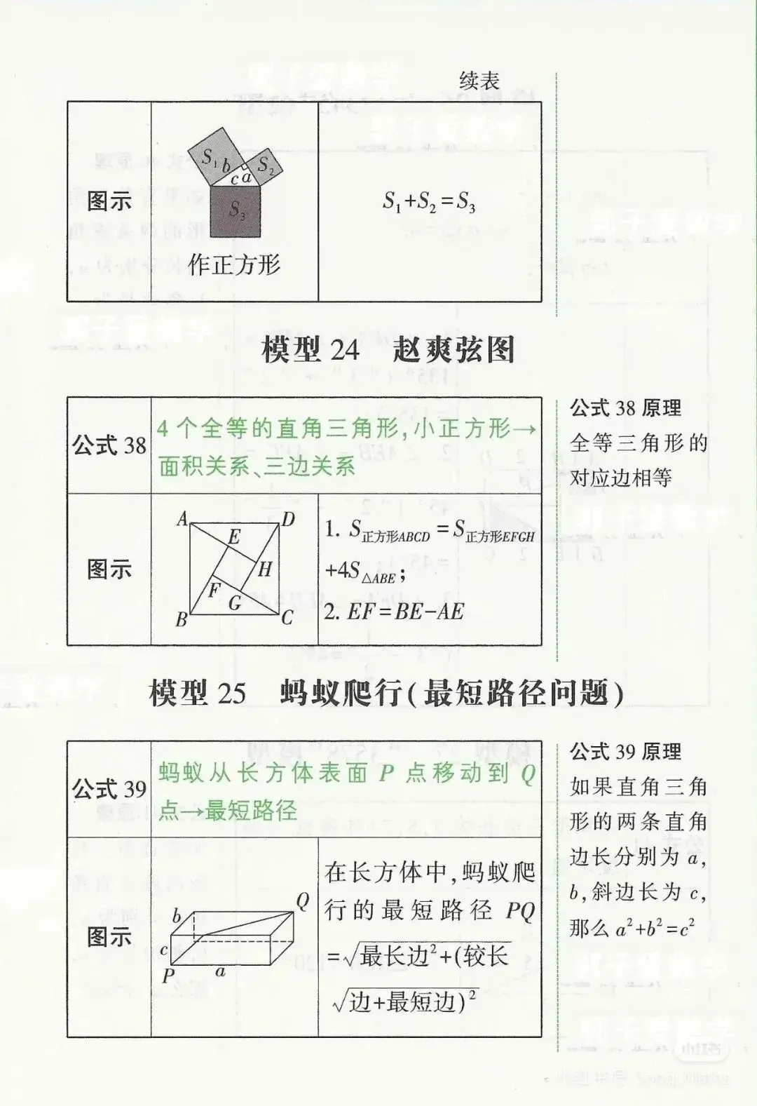 助力中考丨初中数学常用的几何模型 第13张