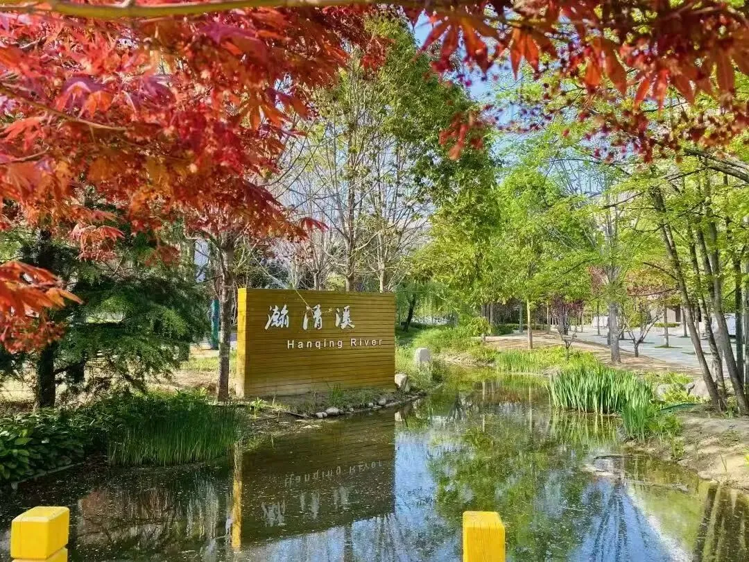 2026DSE生物试卷全维度分析 + 内地生物学科差异剖析 第6张