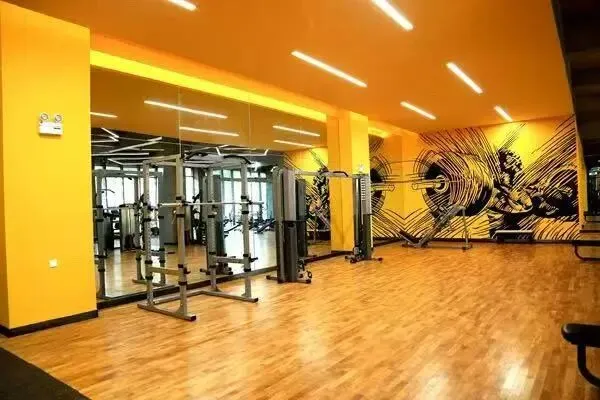 2026DSE生物试卷全维度分析 + 内地生物学科差异剖析 第8张