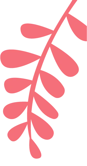 一战成名|中考冲刺50天别再无效刷题!这套科学备考法,帮你稳住心态、高效提分! 第1张