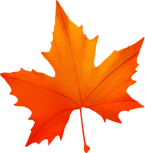 陕西师范大学2027考研真题和资料 | 陕西师范大学学科教学历史考研823历史学基础答案笔记习题!学长学姐强推 第22张