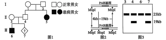 试卷精选║山东省济南市2026届高三第二次模拟考试生物试题 第2张