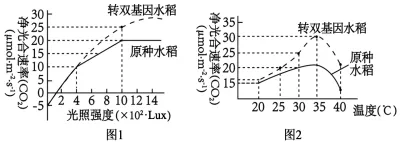 试卷精选║山东省济南市2026届高三第二次模拟考试生物试题 第7张