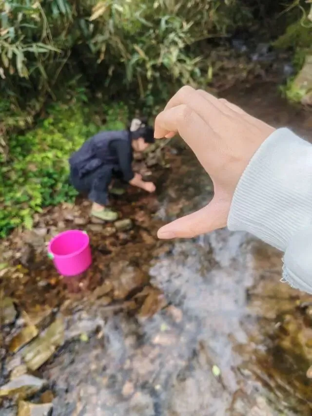 中考高分英语作文句型(开头-中间-结尾) 第1张