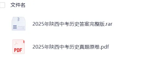 【中考】陕西2025年中考真题试卷电子版||试题答案PDF(全科目)中考答案解析 第10张