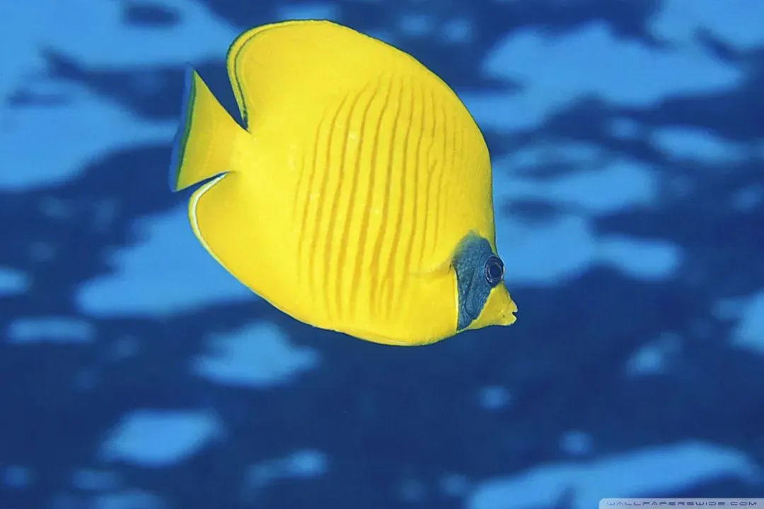 推荐热读:《押送高考试卷那天,家长堵了我的车不让我进校门》【txt全章节-小説】閲读 第6张