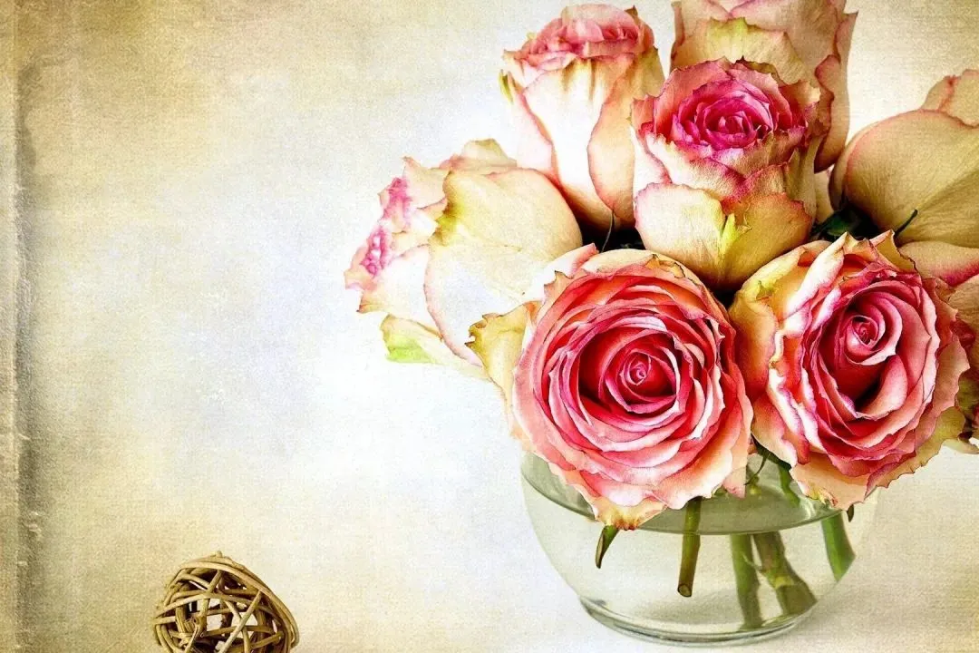 推荐热读:《押送高考试卷那天,家长堵了我的车不让我进校门》【txt全章节-小説】閲读 第8张