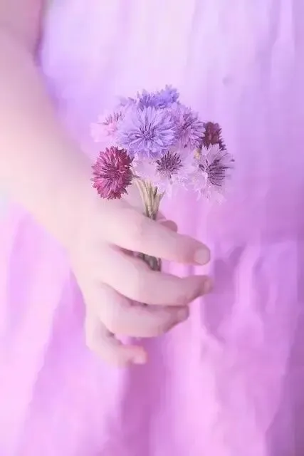 推荐热读:《押送高考试卷那天,家长堵了我的车不让我进校门》【txt全章节-小説】閲读 第10张