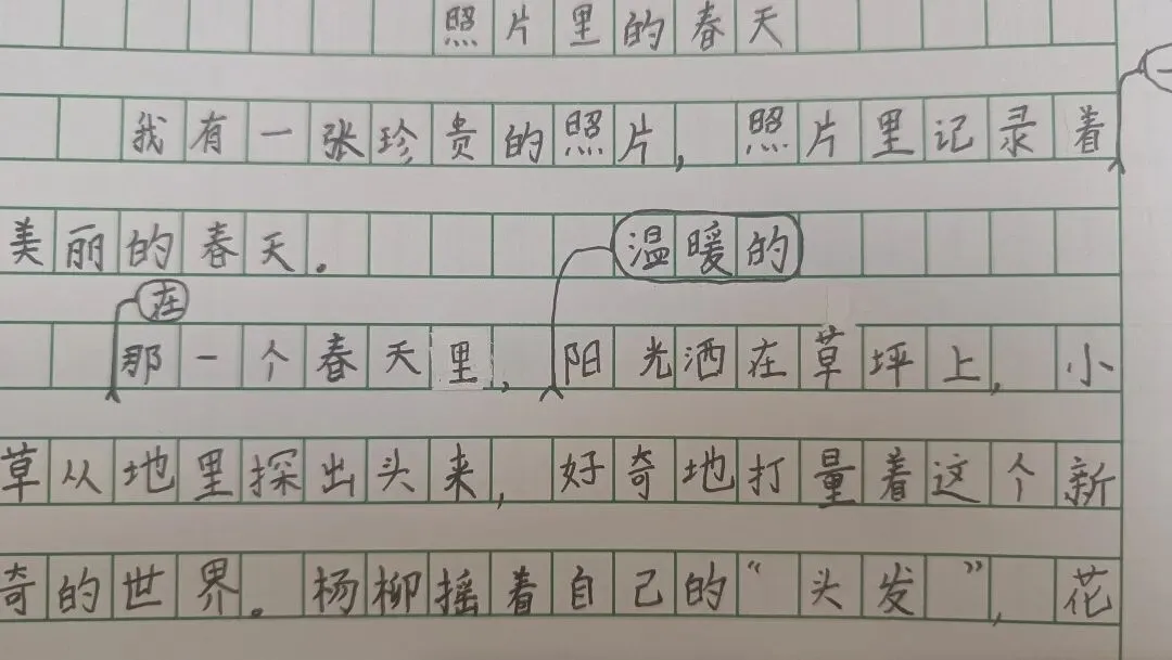 艾晨儿改作文:三年级下册期中试卷作文题目 第1张