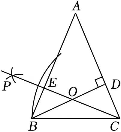 2026年中考数学常考考点专题之三角形 第25张