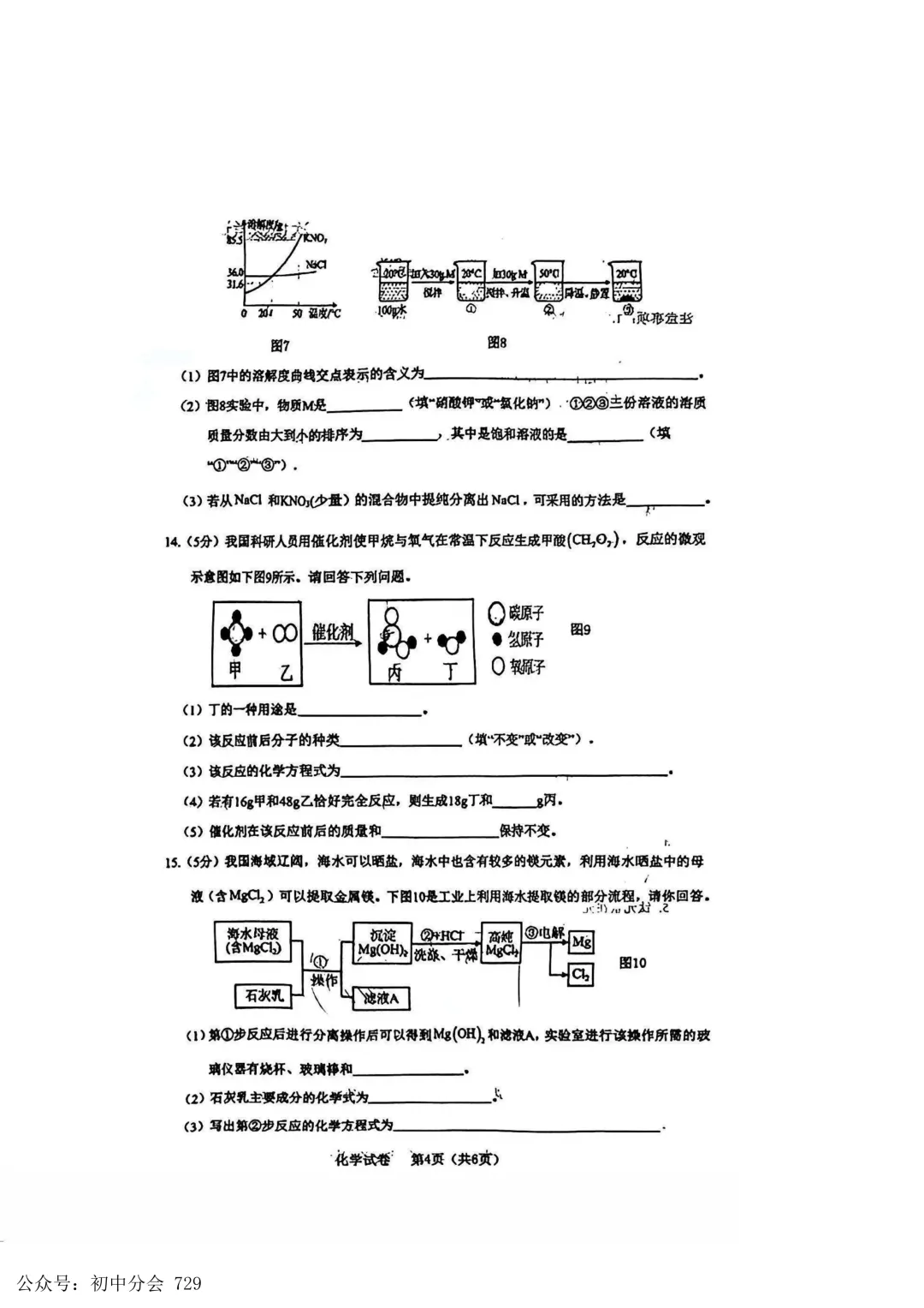 2026.4廊坊市安次区中考一模试卷及答案(全科可打印) 第32张
