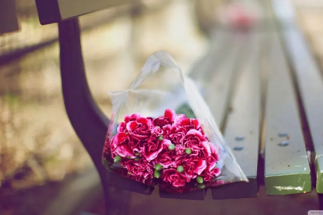 强推必看:《为什么我的高考试卷总是白纸啊?》(免费结局)全章读 第10张