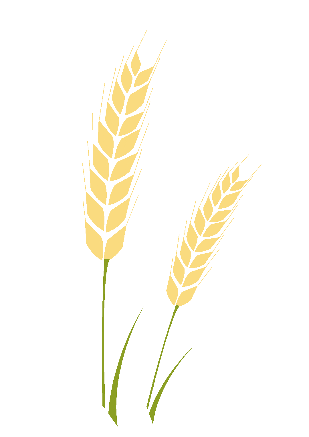 八年级下学期物理期中模拟测试01 8页原卷版(有答案解析版) 第1张