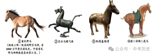 2026年中考历史二轮热点专题试卷14:2026年央视春晚 第14张