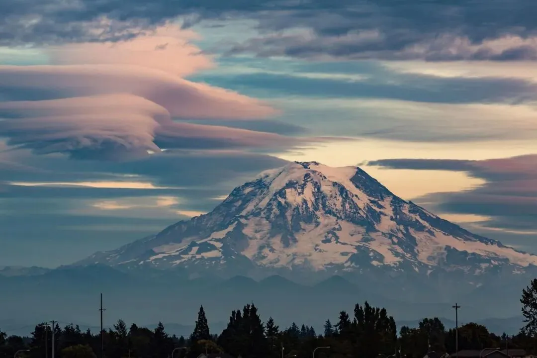 经典全书:《押送高考试卷那天,家长堵了我的车不让我进校门》【txt结局-新阅】全章节 第11张