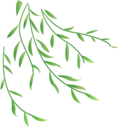 【服务动态】东晓社区举办2026中考志愿填报专场讲座,助力学子圆梦理想高中 | 新现代社工 第7张