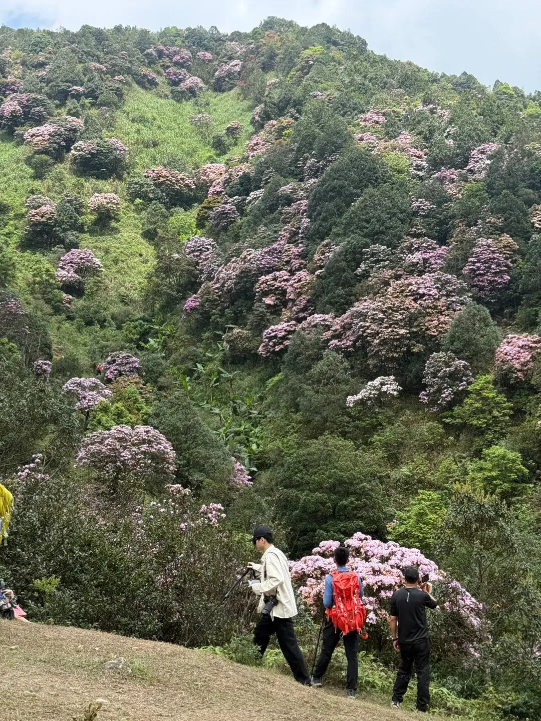 打卡刷爆朋友圈的阳春鸡笼顶:中考、青春期与孩子的户外成长之旅 第1张