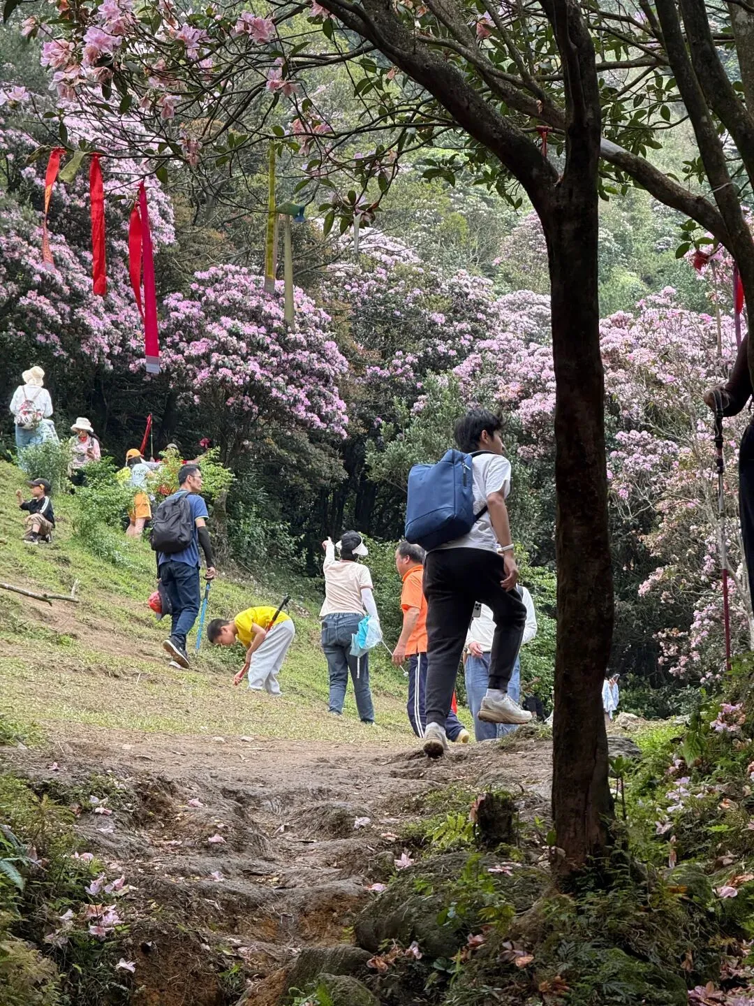 打卡刷爆朋友圈的阳春鸡笼顶:中考、青春期与孩子的户外成长之旅 第2张