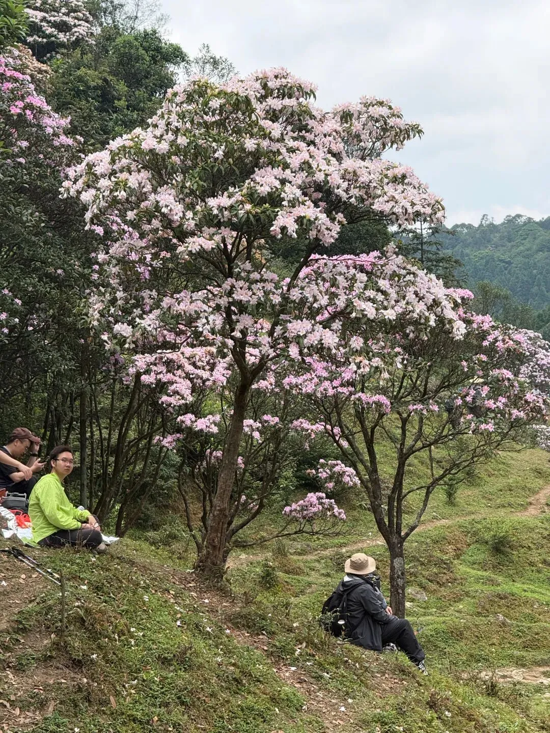 打卡刷爆朋友圈的阳春鸡笼顶:中考、青春期与孩子的户外成长之旅 第4张