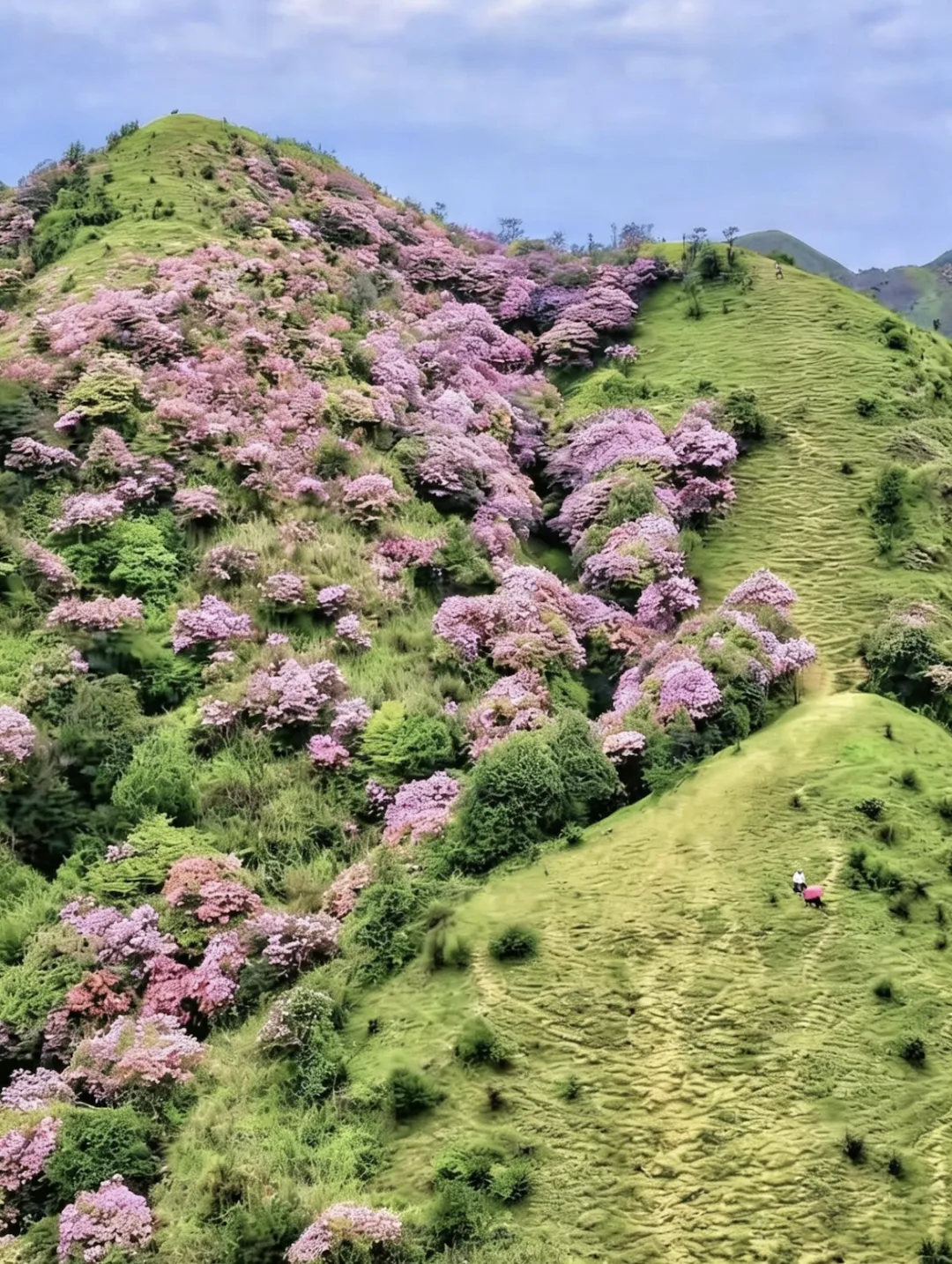 打卡刷爆朋友圈的阳春鸡笼顶:中考、青春期与孩子的户外成长之旅 第5张