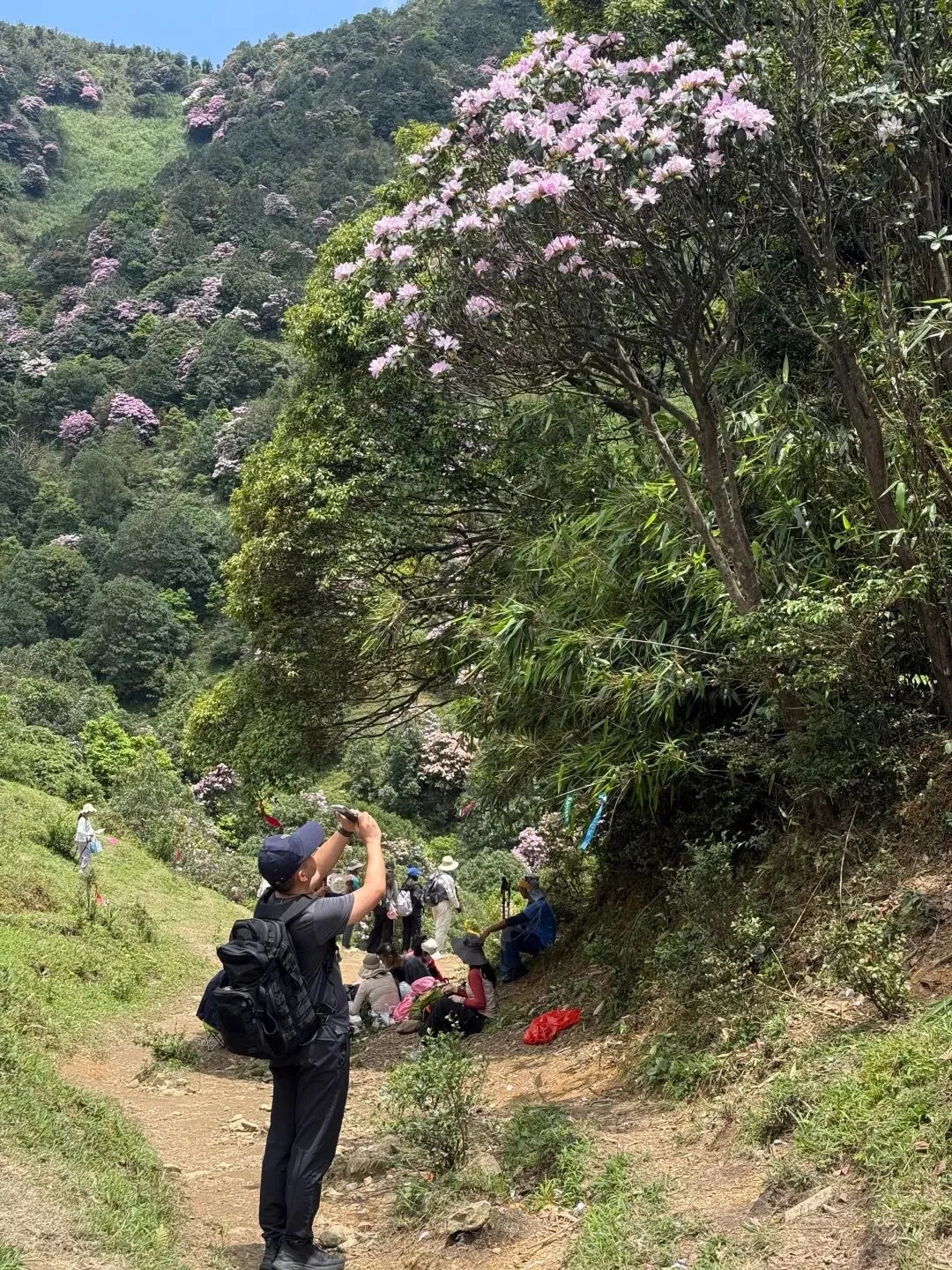 打卡刷爆朋友圈的阳春鸡笼顶:中考、青春期与孩子的户外成长之旅 第6张