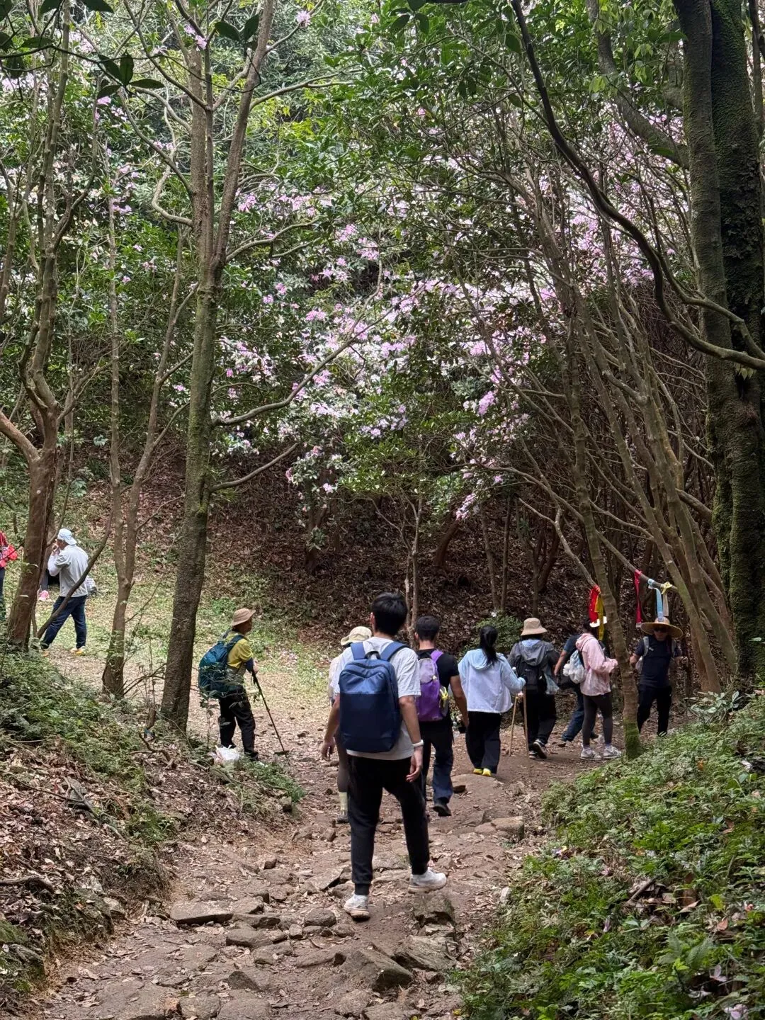 打卡刷爆朋友圈的阳春鸡笼顶:中考、青春期与孩子的户外成长之旅 第11张