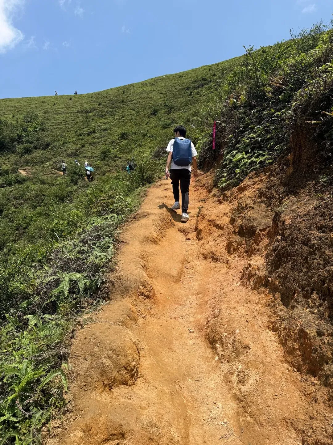 打卡刷爆朋友圈的阳春鸡笼顶:中考、青春期与孩子的户外成长之旅 第12张