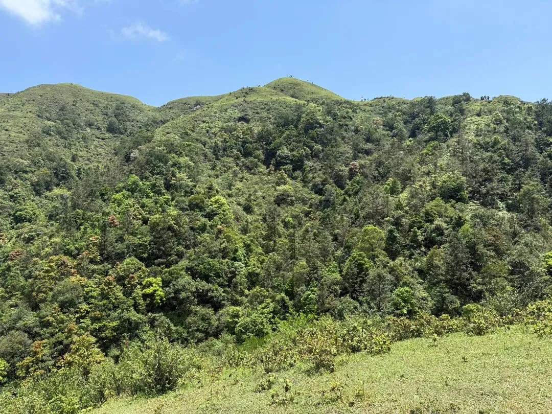 打卡刷爆朋友圈的阳春鸡笼顶:中考、青春期与孩子的户外成长之旅 第13张