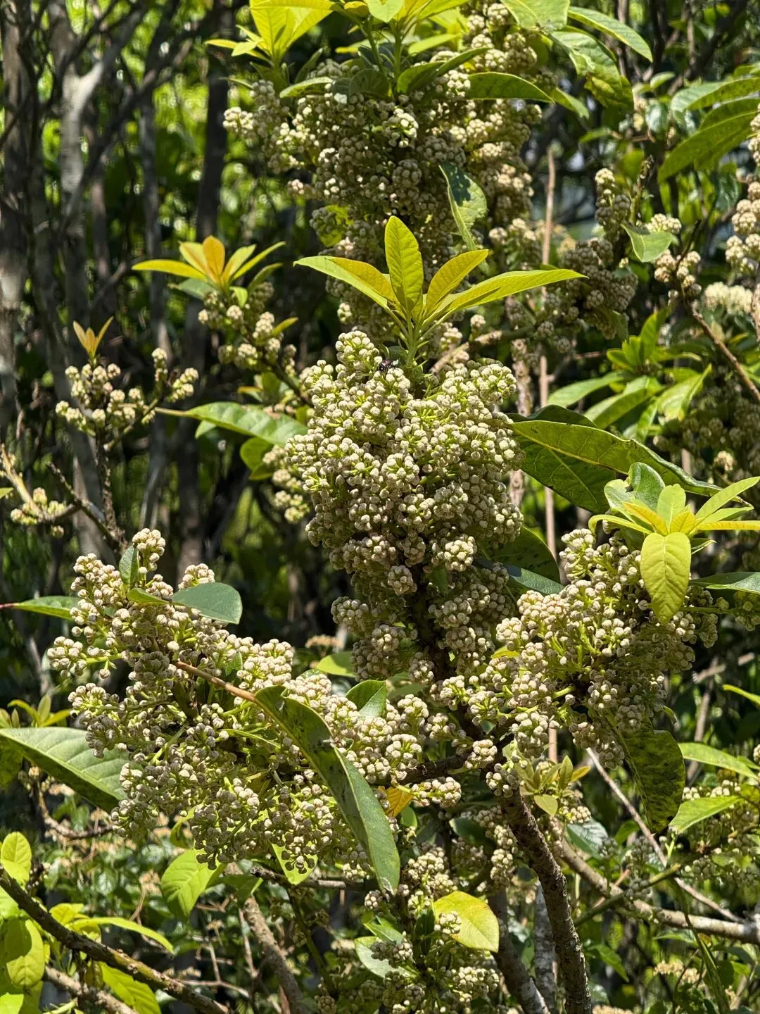 打卡刷爆朋友圈的阳春鸡笼顶:中考、青春期与孩子的户外成长之旅 第16张