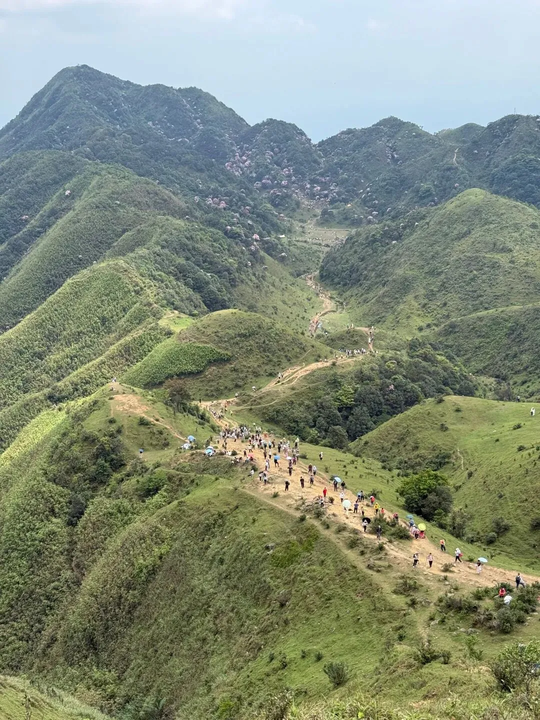 打卡刷爆朋友圈的阳春鸡笼顶:中考、青春期与孩子的户外成长之旅 第20张