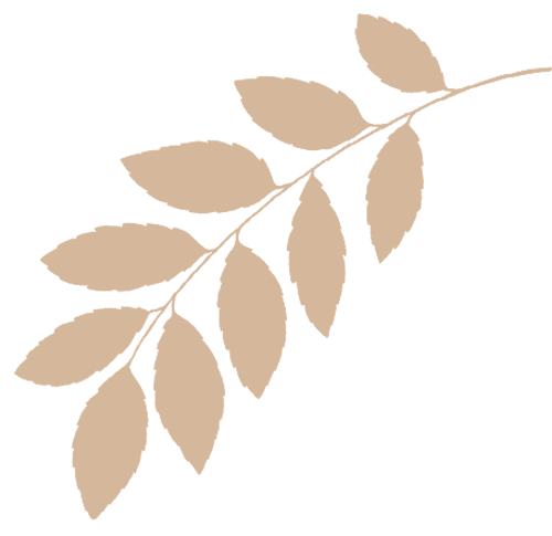 山西省考面试——历年真题展示(三) 第11张