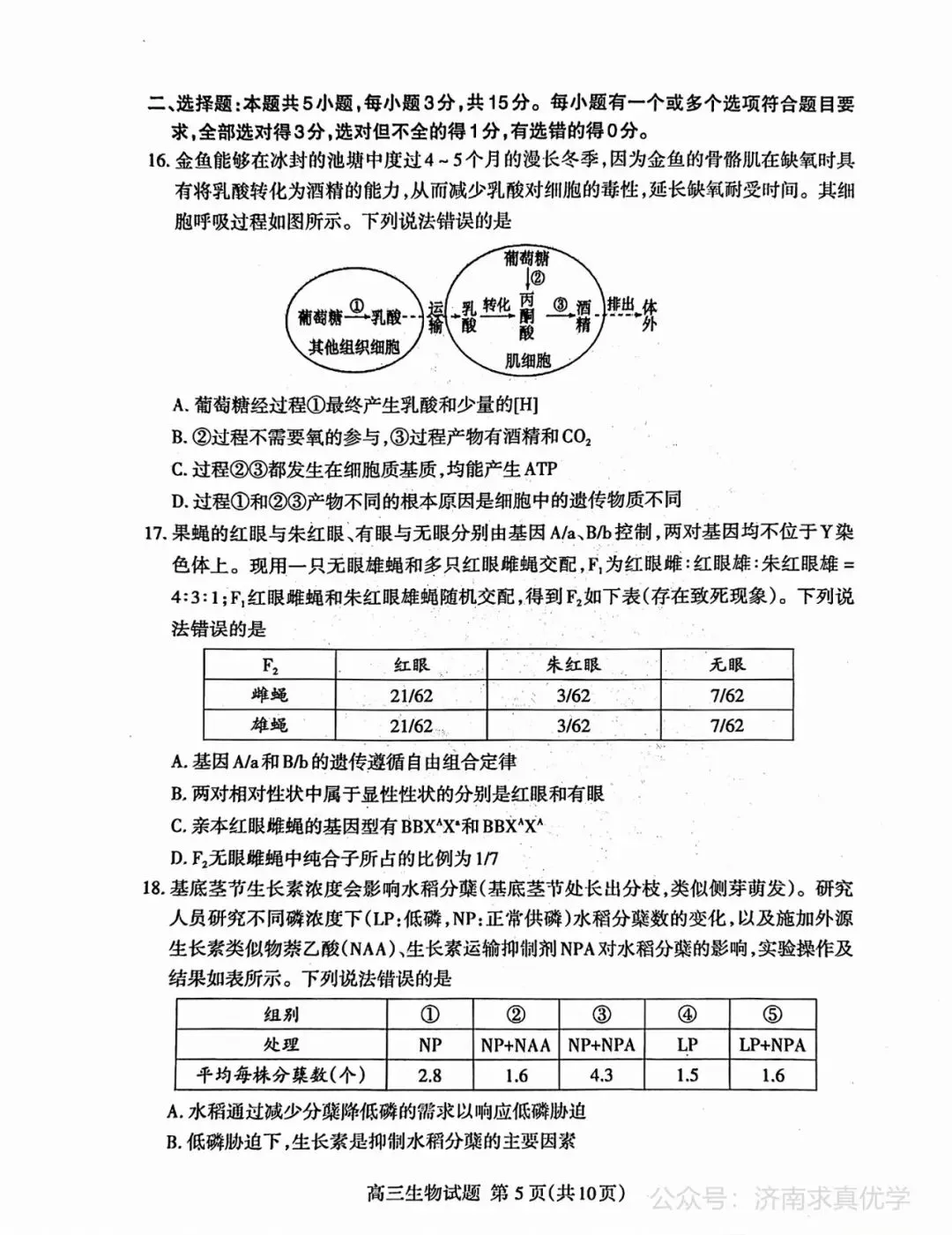 【模拟】山东省泰安市2026届高三二模考试生物试题 第5张