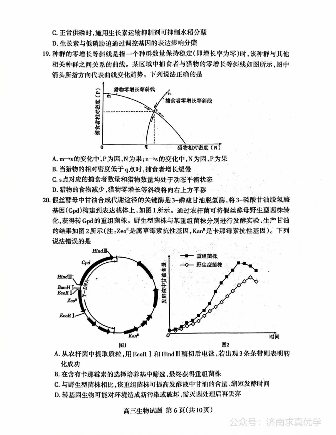 【模拟】山东省泰安市2026届高三二模考试生物试题 第6张