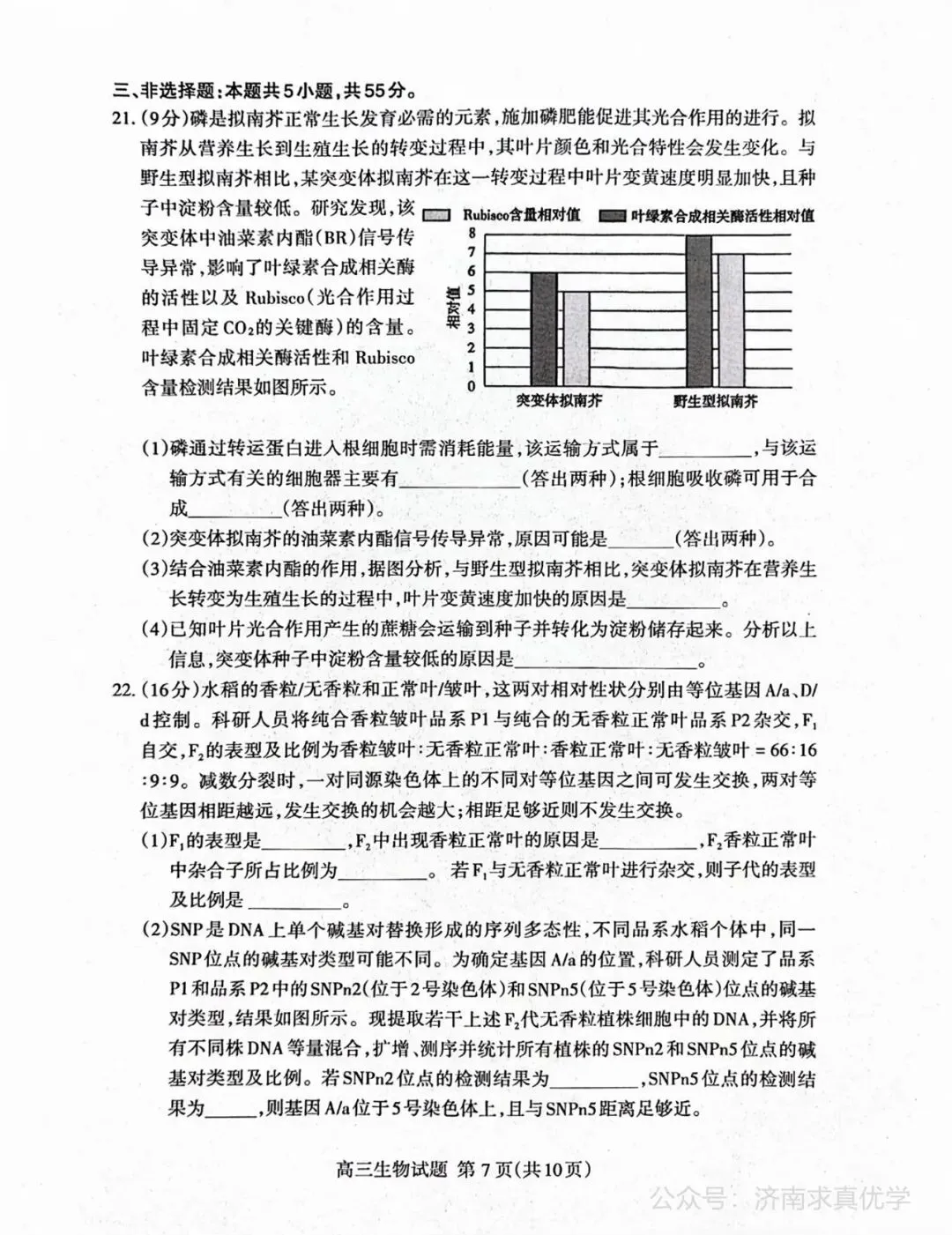 【模拟】山东省泰安市2026届高三二模考试生物试题 第7张