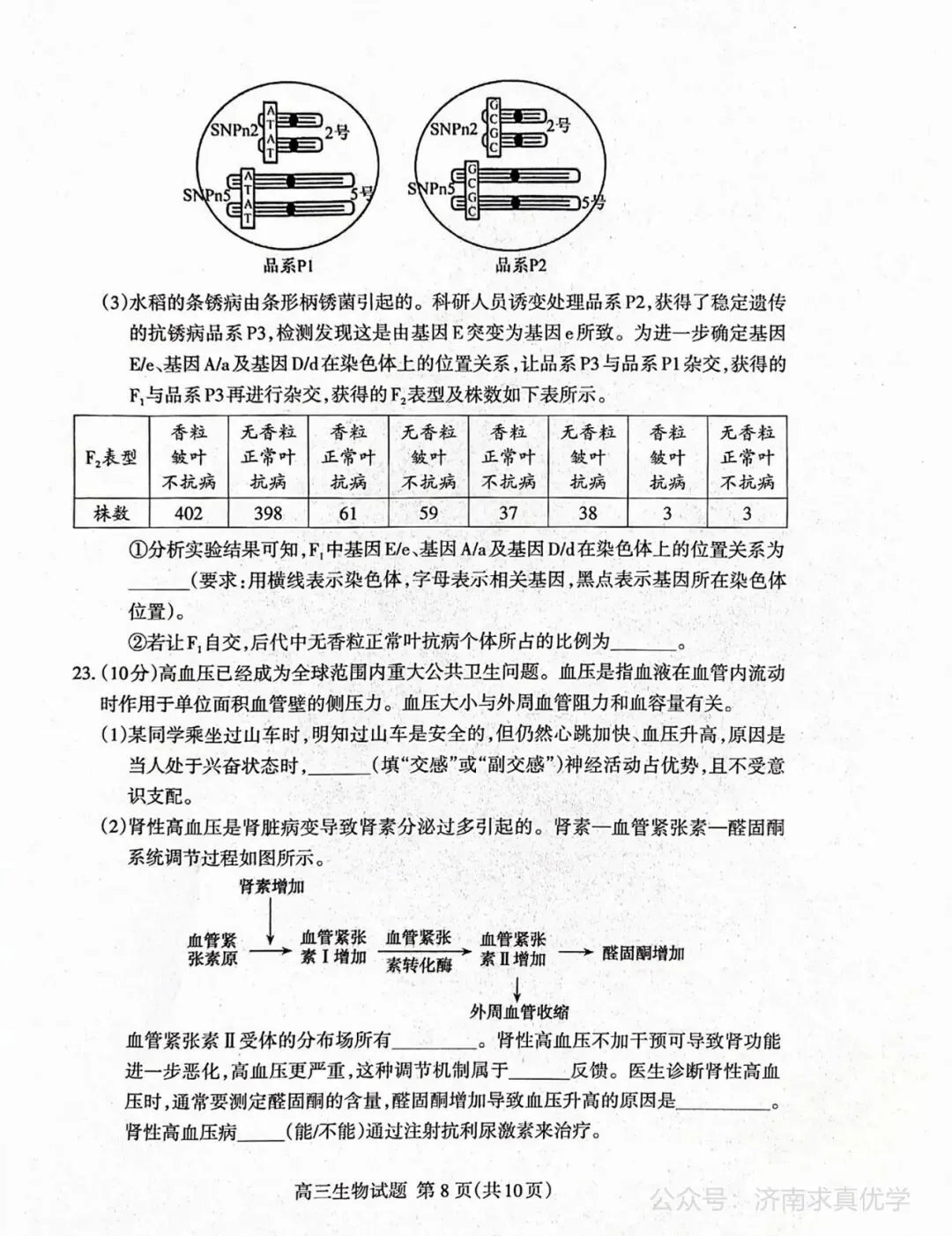 【模拟】山东省泰安市2026届高三二模考试生物试题 第8张