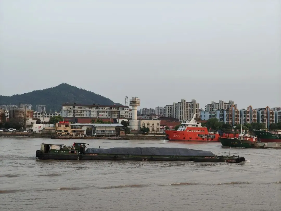 【陪读手记】期中考成绩很不理想,但愿已经触及谷底 第5张