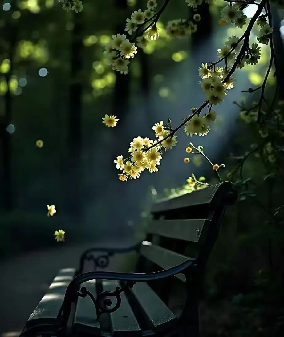 【陪读手记】期中考成绩很不理想,但愿已经触及谷底 第6张