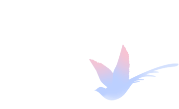 【陪读手记】期中考成绩很不理想,但愿已经触及谷底 第7张