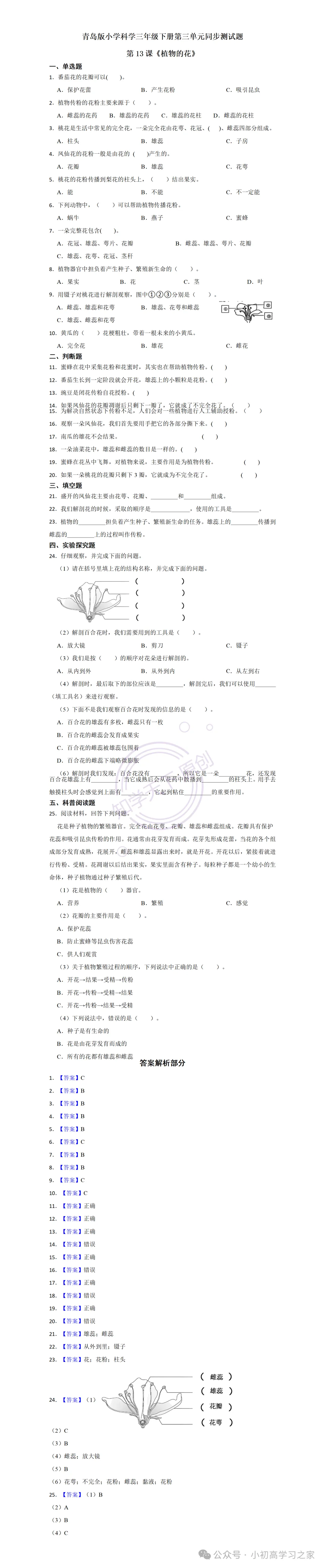 试卷习题║新青岛版三下科学第三单元第13课《植物的花》课时习题(2026春新教材),小学科学三年级下册课课练大全! 第3张