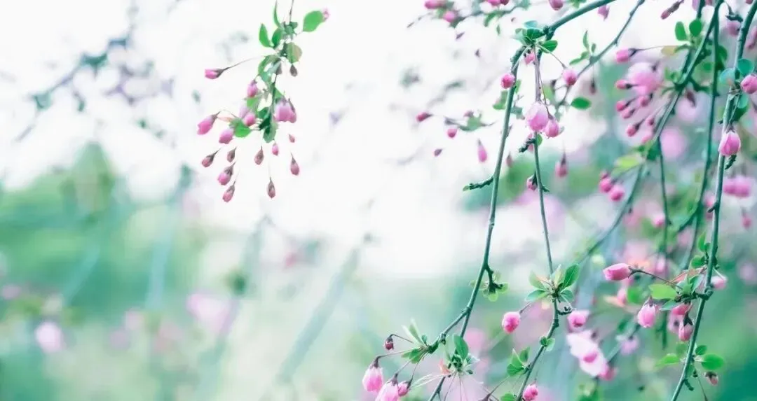 2025年山东省事业单位面试真题逐字稿枣庄市直 第1张