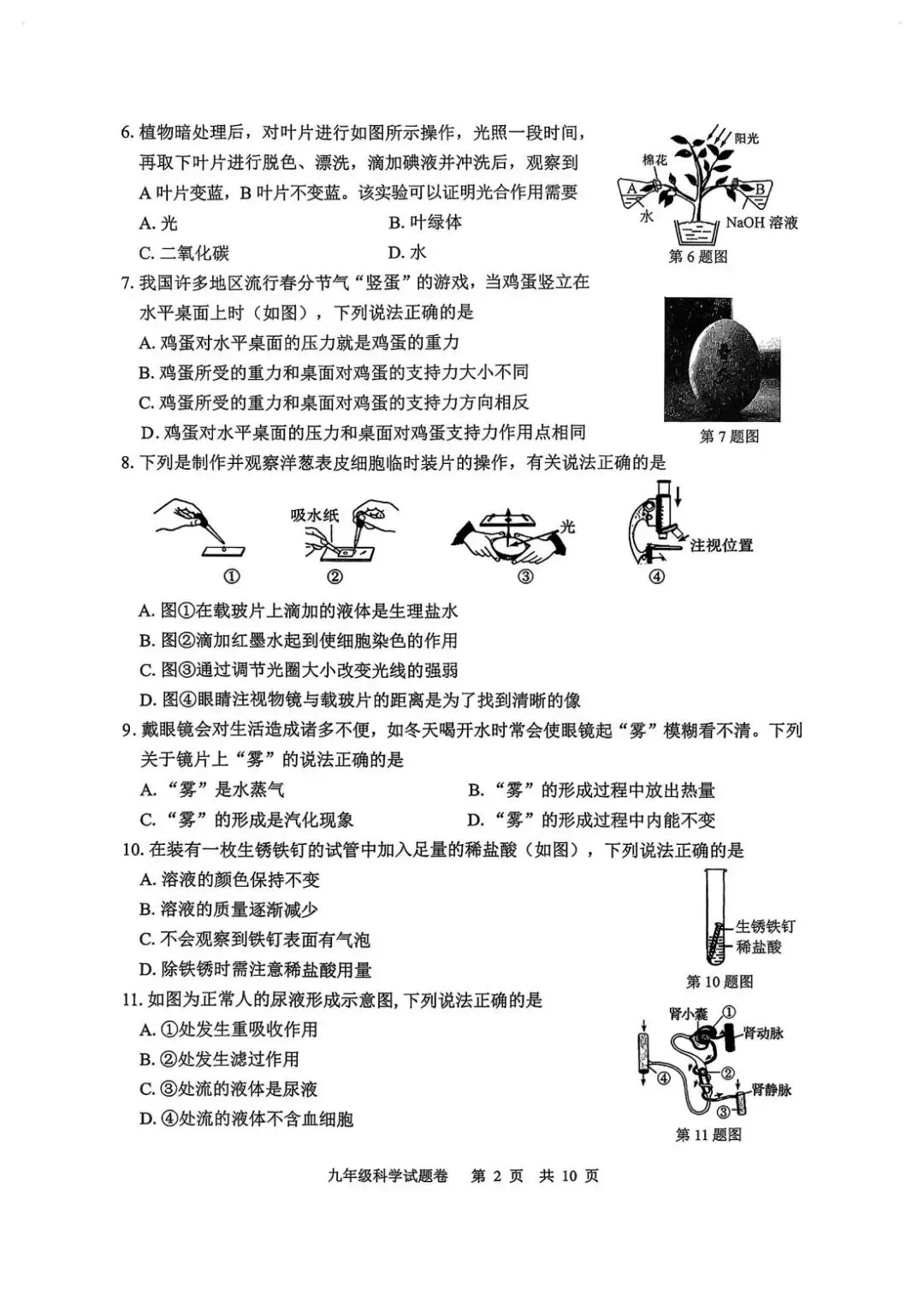 2026年4月浙江省丽水市中考一模试卷和答案,含英语听力,无水印免费下载 第41张