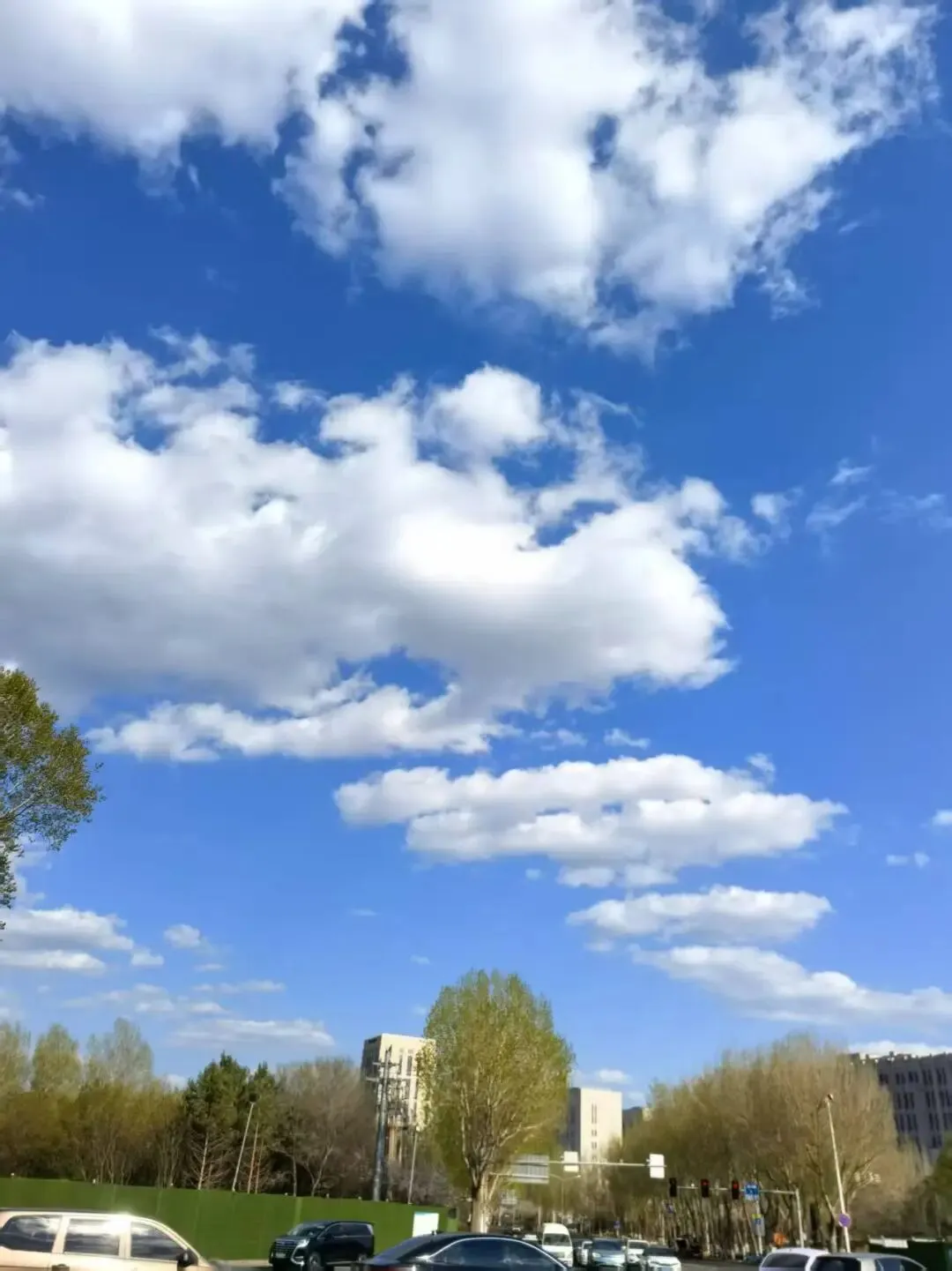 【高执】23年高级执法资格真题试炼、口诀带背、模拟题巩固(3):滥伐林木罪等罪名辨析 第2张