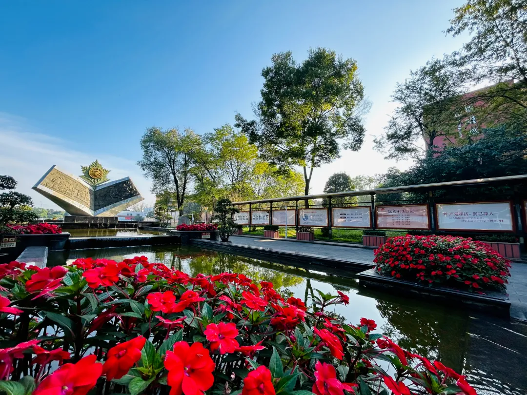 2025成都中考涨分王TOP10!择校必看 第10张