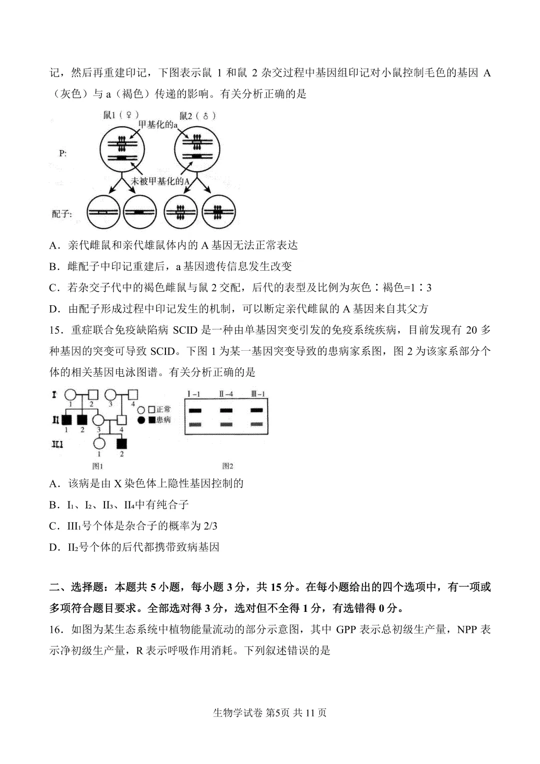内蒙古呼和浩特市2026届第二次模拟考试生物试题 第6张