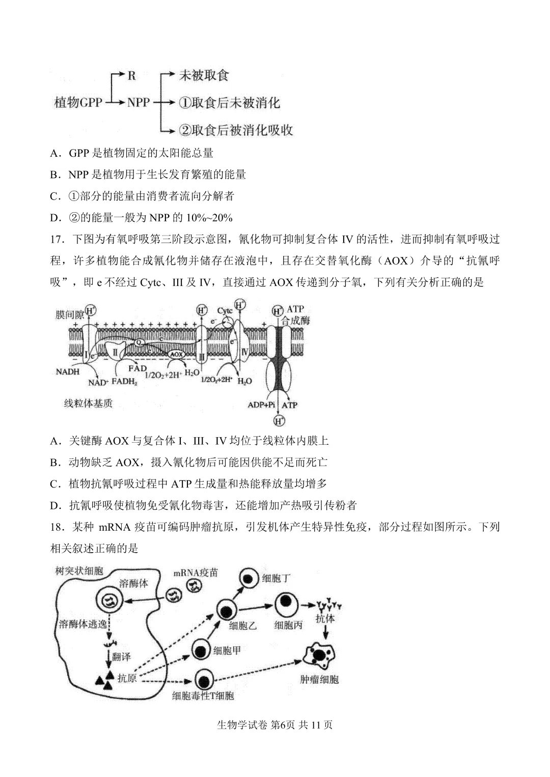 内蒙古呼和浩特市2026届第二次模拟考试生物试题 第7张
