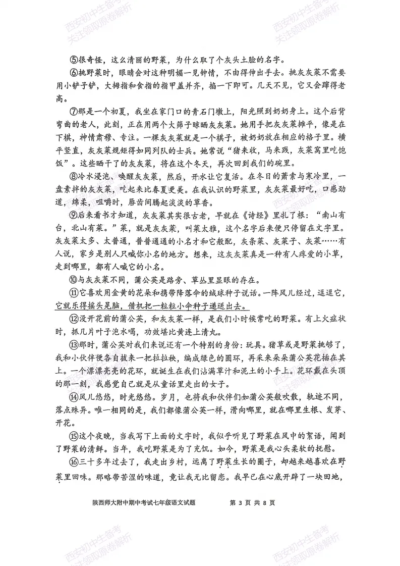 名校期中考!西安期中:【2026陕西师大附中】七下期中考试,语文试题,免费下载! 第9张