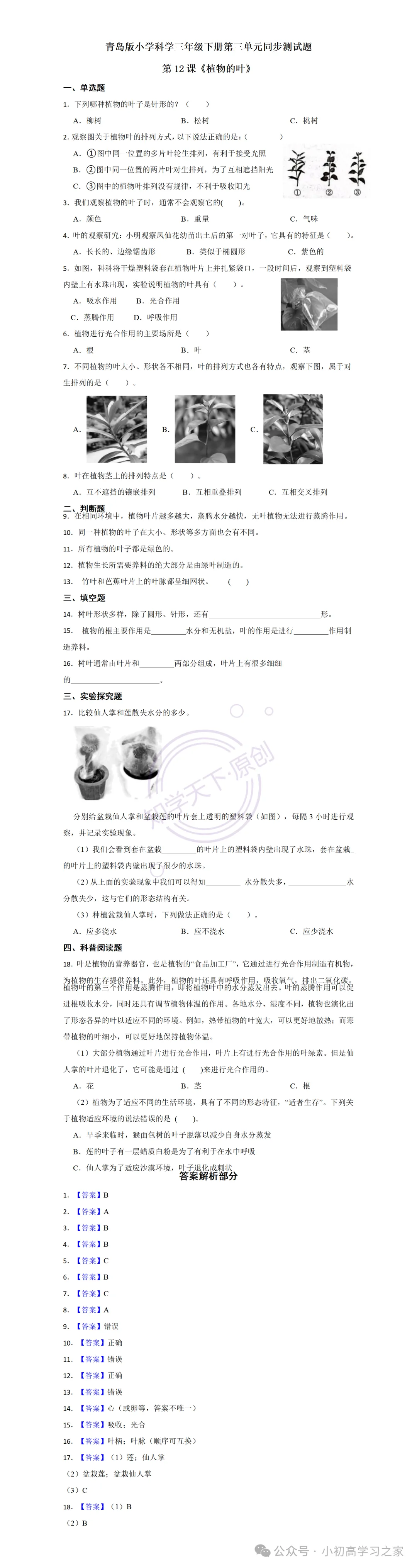 试卷习题║新青岛版三下科学第三单元第12课《植物的叶》课时习题(2026春新教材),小学科学三年级下册课课练大全! 第3张