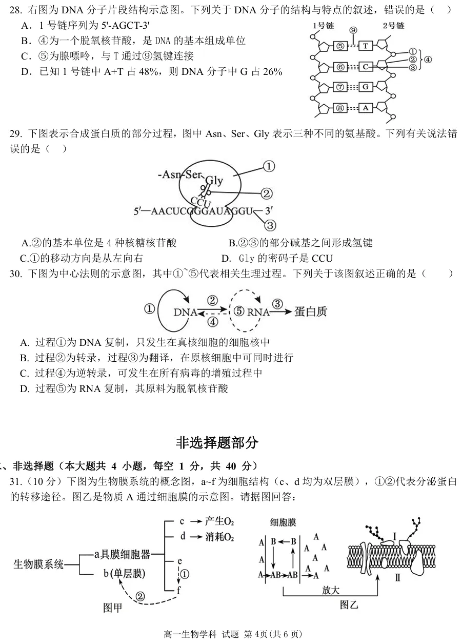 2026年4月五湖联盟高一期中联考生物试卷、答案 第4张