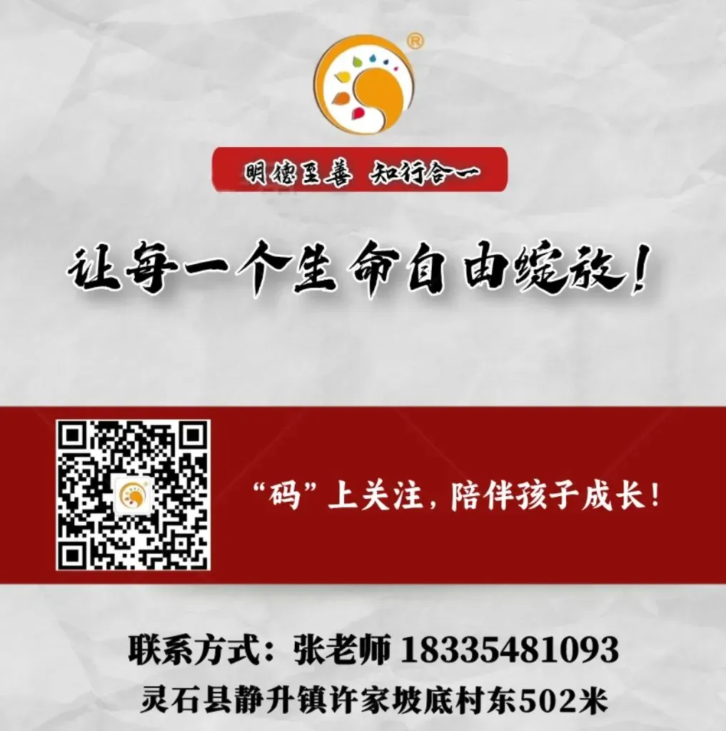 砺剑赛场强体魄,全力冲刺赢中考——北京新学道灵石致诚学校开展体育公益全真模拟测试 第30张