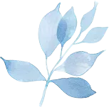 凝心聚力备中考 家校携手筑华章——德阳二中2026届初三年级家长会顺利召开 第11张